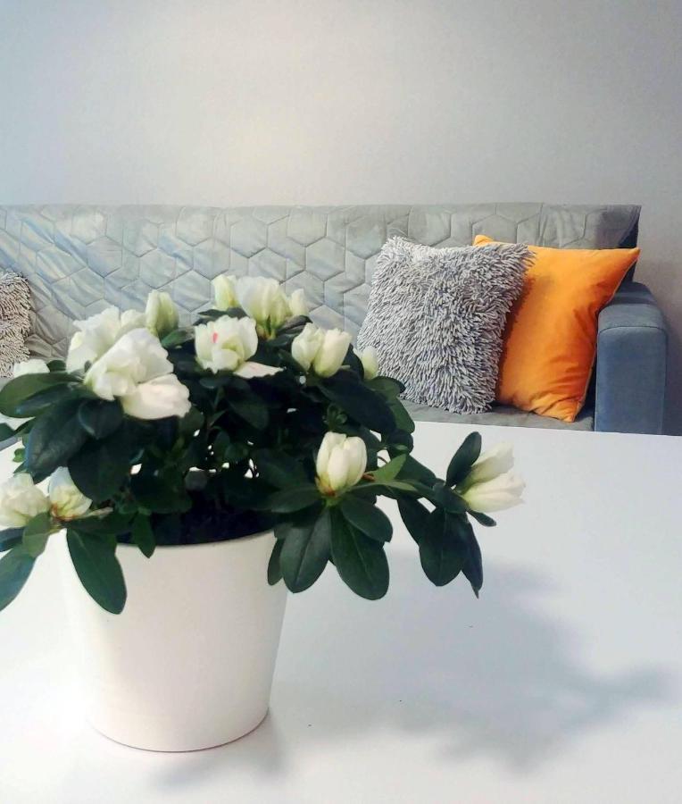 Bel Mare Wyspa, Apartament Z Parkingiem Gratis Miedzyzdroje Luaran gambar